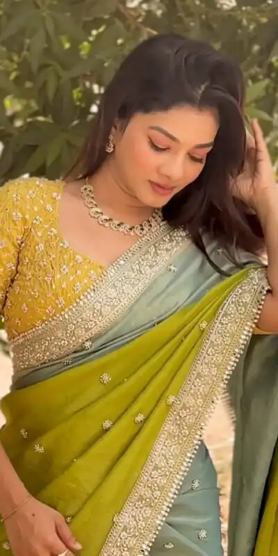 Mahendi Chinon Embroidery Sequins Work Saree