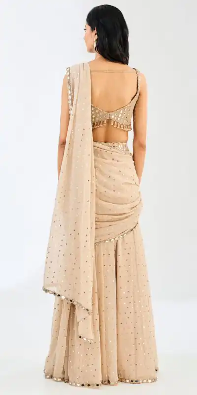 BD 1821 Chiku in Faux Georgette Mirror Work Saree . Wedding, Party, Festive, Events, Grab it for ₹2499. Delivery 4-6 Working Days. Shop now. | Sarees, Bollywood Sarees, Creative Sarees, Designer Sarees, Embroidered Sarees, Ethnic Saree, Modern Digital sarees, Party Wear Sarees