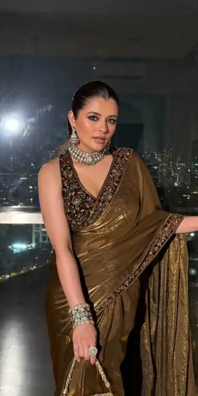 Brown Space Silk Embroidery Zari Work Saree