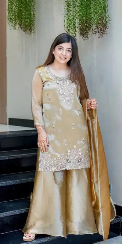 Alternative view of Fancy Chiku Fandy Satin Embroidery Work Salwar Suit