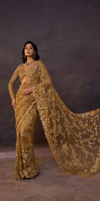 Alternative view of Fancy Golden Butterfly Net Sequence Work Saree