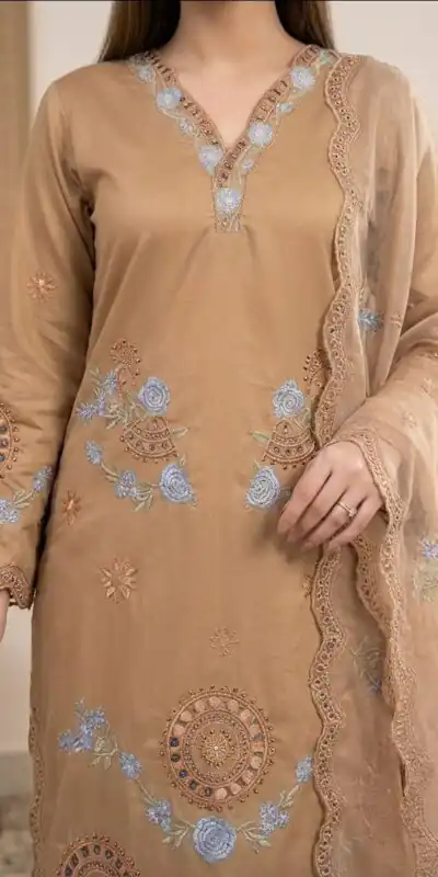 VLM 343 Chiku Roman Salwar Suit with Cut Work & Embroidery Work. Exclusive Offer ₹2449. Delivery 4-6 Working Days. Shop now. | Jump Suits, Salwar suit, Designer Suits, Casual Suits, Creative suits, Palazzo Suits, Party Wear Suits, Patiala Suits, Straight Suits