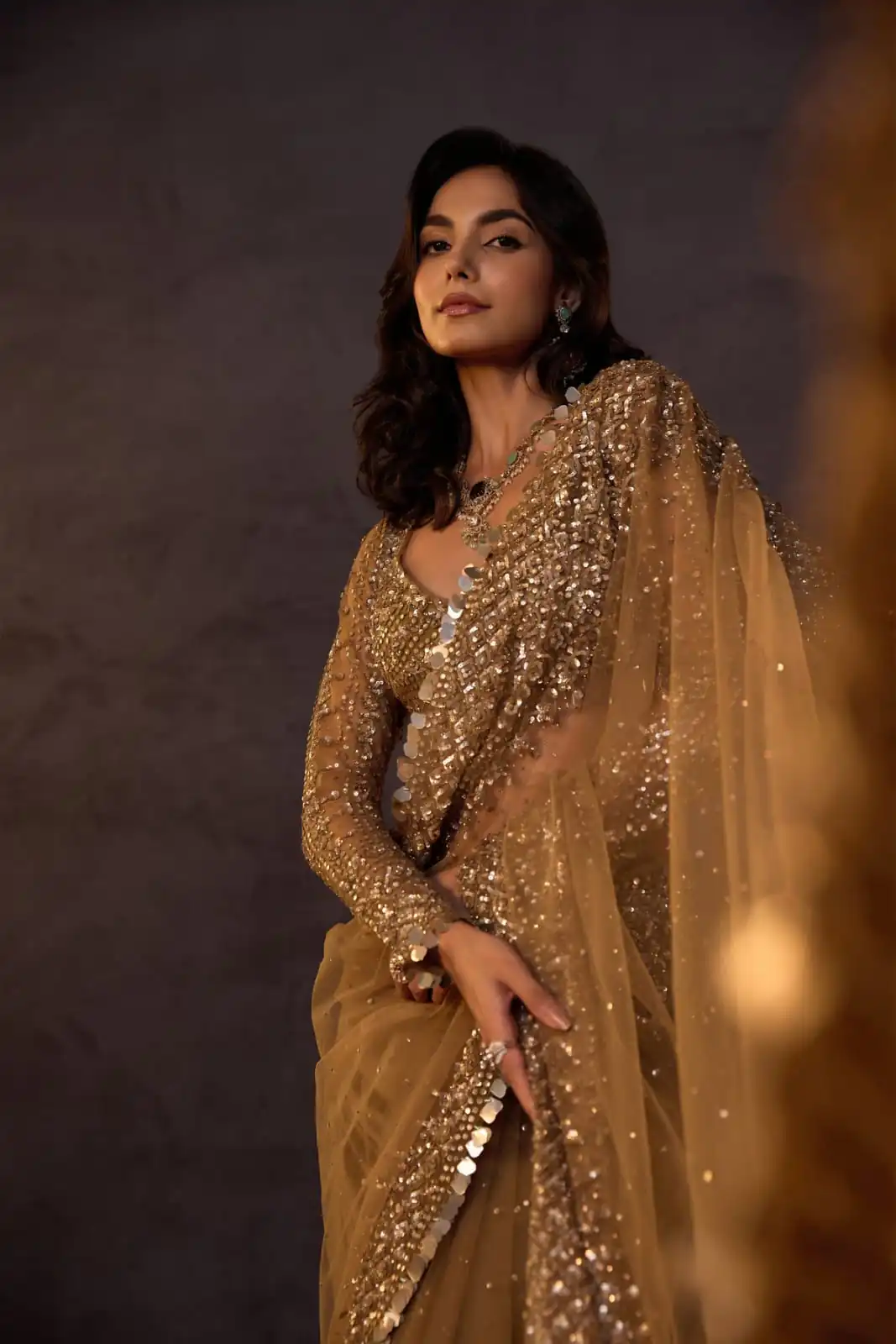 Unique Chiku Butterfly Net Sequence Work Saree - Image 3