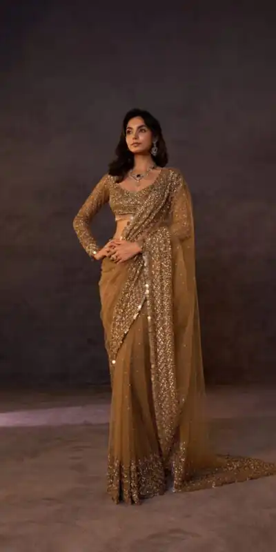 Unique Chiku Butterfly Net Sequence Work Saree
