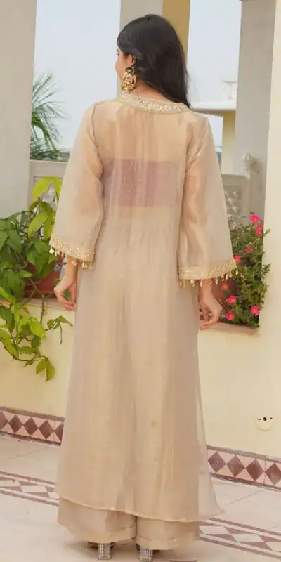 AD 241 Cream in Golden Tissue Embroidery Work & Sequins Work Salwar Suit. Get it for ₹2149. Delivery 4-6 Working Days. Shop now. | Jump Suits, Salwar suit, Designer Suits, Casual Suits, Creative suits, Palazzo Suits, Party Wear Suits, Patiala Suits, Straight Suits