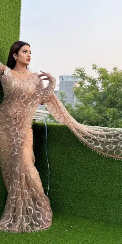 DF 3490 Chiku Color Butterfly Net Heavy 5mm Sequins Embroidery work Saree Casual, Wedding, Festive, Events . Expected Delivery  4-6 Working Days @1799/- only                                                                                | Sarees, Bollywood Sarees, Creative Sarees, Designer Sarees, Embroidered Sarees, Ethnic Saree, Modern Digital sarees, Party Wear Sarees