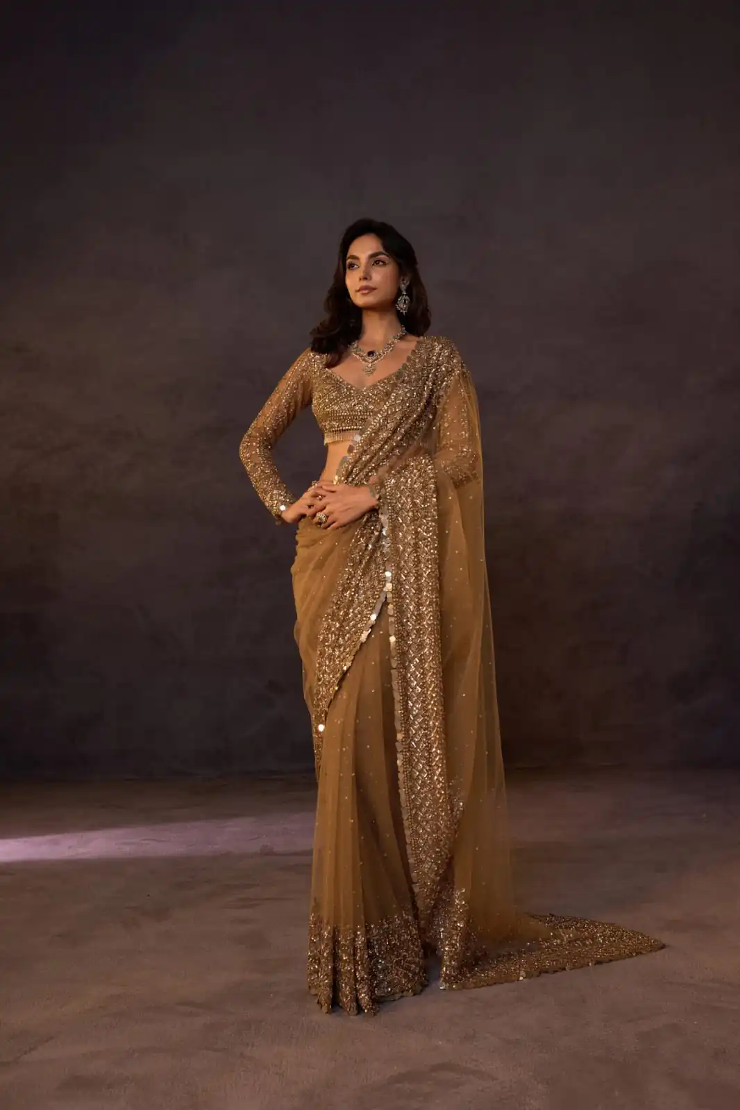 DF 3485 Chiku Butterfly Net Saree Sequence with Work & Zari Work. Introductory Price ₹1999. Delivery 4-6 Working Days. Shop now. | Sarees, Bollywood Sarees, Creative Sarees, Designer Sarees, Embroidered Sarees, Ethnic Saree, Modern Digital sarees, Party Wear Sarees