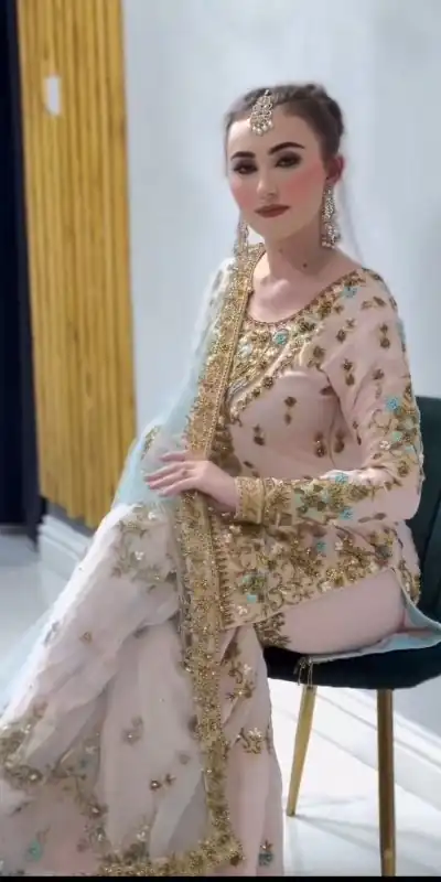 Nice Baby Pink Color Foix Georgette Embroidery Salwar Suit