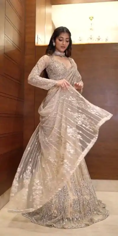 Cream Butterfly Net Embroidery Work Saree